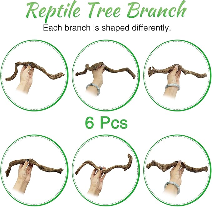 Reptile Branch Decor Snake Climbing Wood Branches Lizard Habitat Decorations Terrarium Natural Forest Tree Trunk Ornament for Bearded Dragon Geckos Chameleon Frog 6 Pcs - S Apatal