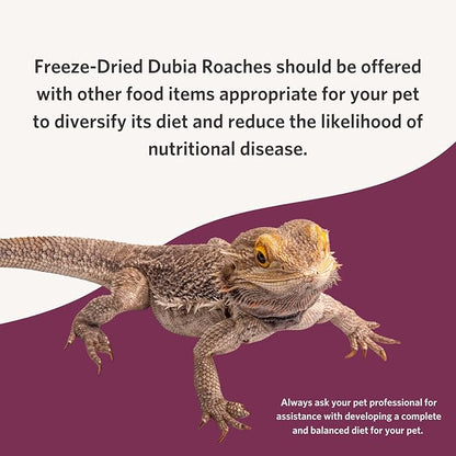 Fluker's Freeze Dried Dubia Roaches, Ideal for Lizards, Reptiles, Birds, Fish, Hedgehogs, 1.7 oz Flukers