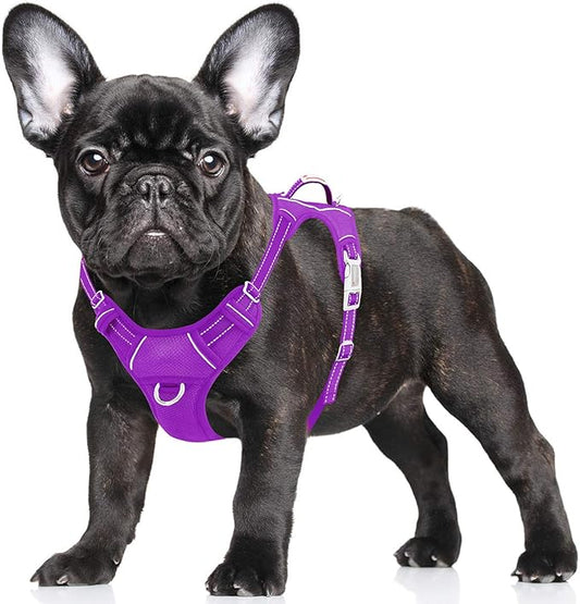 BARKBAY No Pull Dog Harness Large Reflective Dog Harness with Front Clip and Easy Control Handle for Walking Training Running with ID tag Pocket(Purple,S) BARKBAY