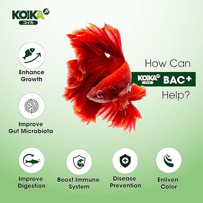 KOIKA BAC+ Aquarium Probiotics, Pleasant Smell, Immunity Boosting, Disease Resistance (BAC+ (New Formula), 120ml) Koika