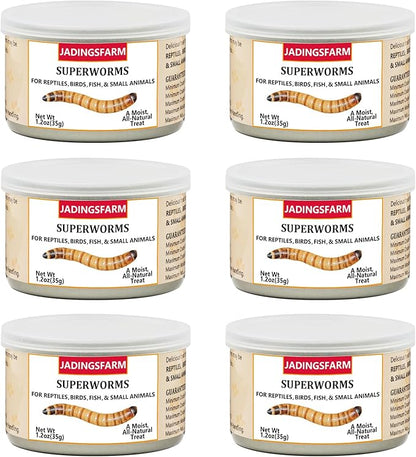 6 Pack Canned Superworms for Reptiles, Fish, Birds and Small Animals, Super Worms, Healthy High Protein Treat, Reptile Bird Fish Food 7.2 Ounces Total Jadingfarm