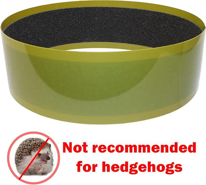 Sandy Track - for Green Silent Runner 12" Wide - Textured Nail Trimming Track for Pet Exercise Wheel (Green 12" Wide) ExoticNutrition