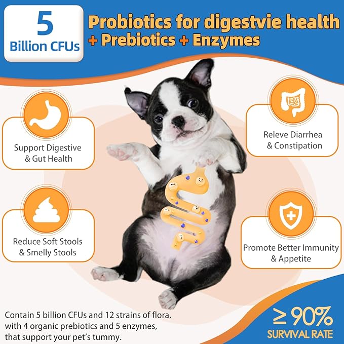 Dog Multivitamin Powder with Glucosamine, Dog Vitamins and Supplements for Immune Support, Dog Skin and Coat Supplement with Omega 3 for Allergy Relief, Probiotics for Dog Support Digestive Health ZEBORA
