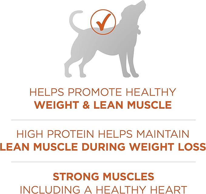 Purina ONE Plus Healthy Weight High-Protein Dog Food Dry Formula - 40 lb. Bag - PAWPICO