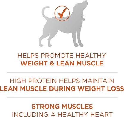 Purina ONE Plus Healthy Weight High-Protein Dog Food Dry Formula - 40 lb. Bag - PAWPICO