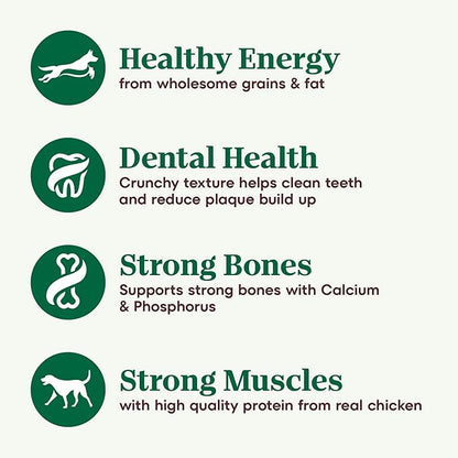 Nutro Natural Choice Adult Small Breed Dry Dog Food, Chicken and Brown Rice, 13 lbs. - PAWPICO