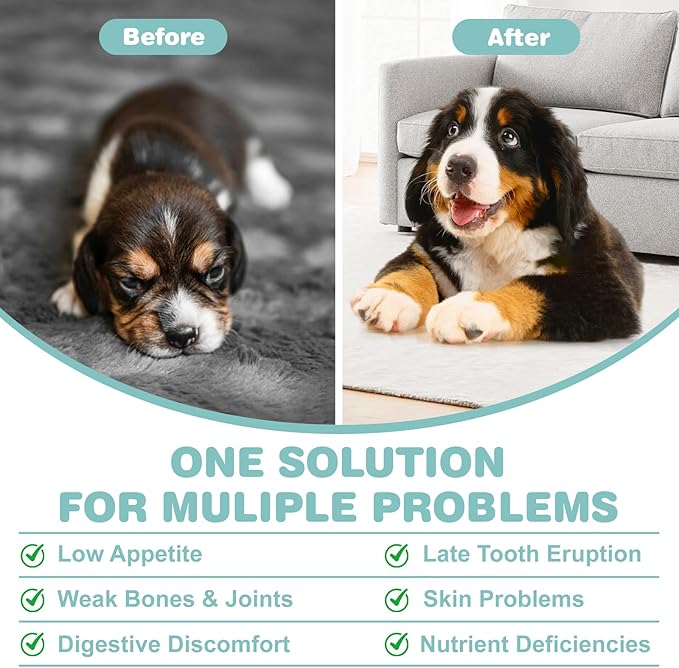 Seaweed Calcium for Dogs, Calcium for Dogs, Cats, Supports Joint, Teeth and Bone Health, High Digestibility Dog Calcium, Pure Clean Icelandic Calcium Powder for Dogs, Tested for Purity, 12 Oz DIYTOOLSMAN