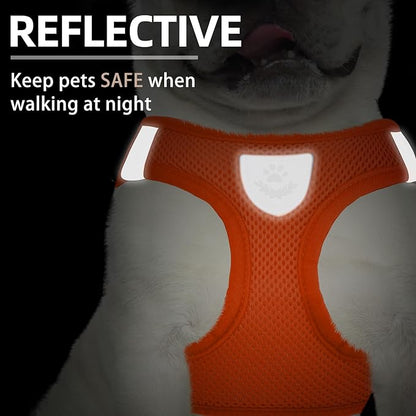 PUPTECK Adjustable Dog Harness Collar and Leash Set Step in No Pull Pet Harness for Small Medium Dogs Puppy and Cats Outdoor Walking Running, Soft Mesh Padded Reflective Vest Harnesses PUPTECK