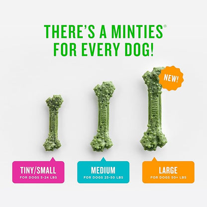 Minties Dental Chews for Dogs, 60 Count, Vet-Recommended Mint-Flavored Dental Treats for Medium Dogs 25-50 lbs, Dental Bones Clean Teeth, Fight Bad Breath, and Removes Plaque and Tartar Minties