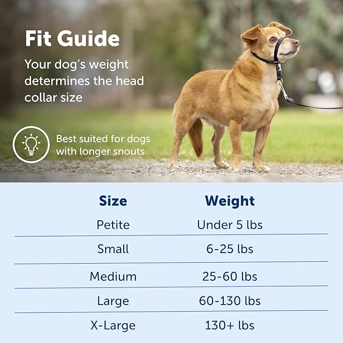 PetSafe Gentle Leader No-Pull Dog Headcollar - The Ultimate Solution to Pulling - Redirects Your Dog's Pulling for Easier Walks - Helps You Regain Control - Petite, Black PetSafe