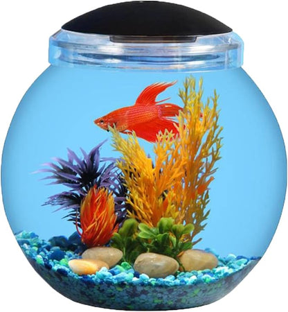 Koller Products 1-Gallon Globe Fish Bowl, Impact- Resistant Plastic Aquarium Starter Kits with LED Lighting, Buit-in Timer, Crystal-Clear Clarity, Desktop Fish Tank for Home Décor DISCOVERTHEEXCITINGWORLDOFKEEPINGTROPICALFISH