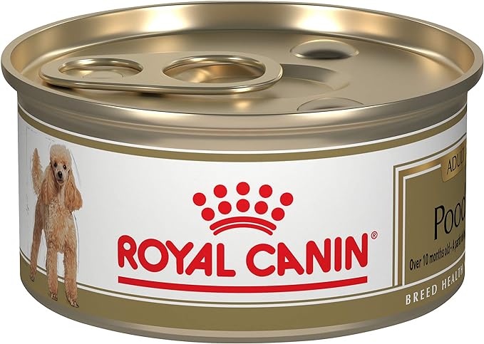 Royal Canin Poodle Adult Breed Specific Wet Dog Food, 3 oz can - PAWPICO
