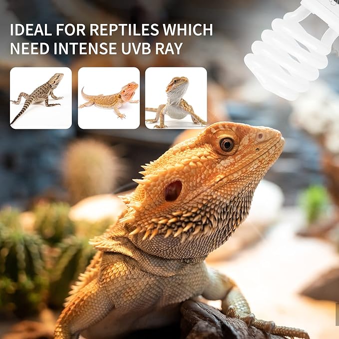 LUCKY HERP 26W UVB 15.0 Intense UVA UVB Compact Flouorescent Lamp Desert Terrarium Light Bulb for Reptile and Amphibian LUCKYHERP