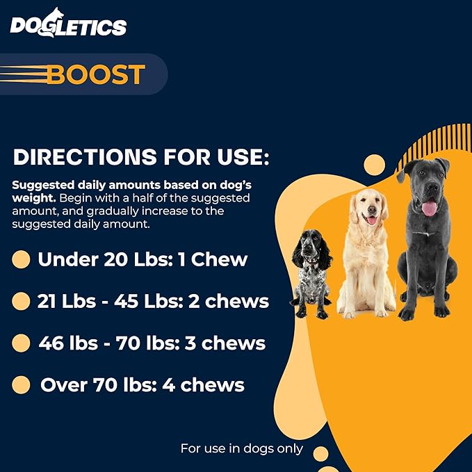 Boost Active Dog Support: Improve Energy, Endurance, Recovery & Longevity- 90ct USA Made with Real Bacon Dogletics
