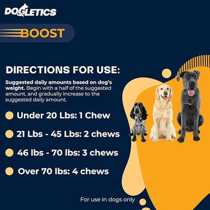 Boost Active Dog Support: Improve Energy, Endurance, Recovery & Longevity- 90ct USA Made with Real Bacon Dogletics