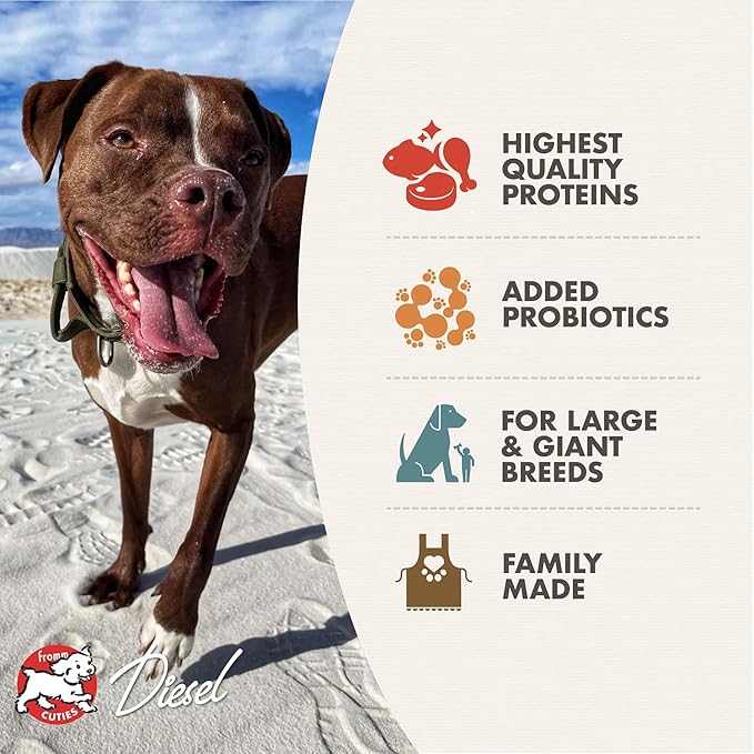 Fromm Heartland Gold Large Breed Adult Dog Food - Dry Dog Food for Large & Giant Breeds - Beef Recipe - 12 lb - PAWPICO