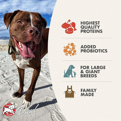 Fromm Heartland Gold Large Breed Adult Dog Food - Dry Dog Food for Large & Giant Breeds - Beef Recipe - 12 lb - PAWPICO