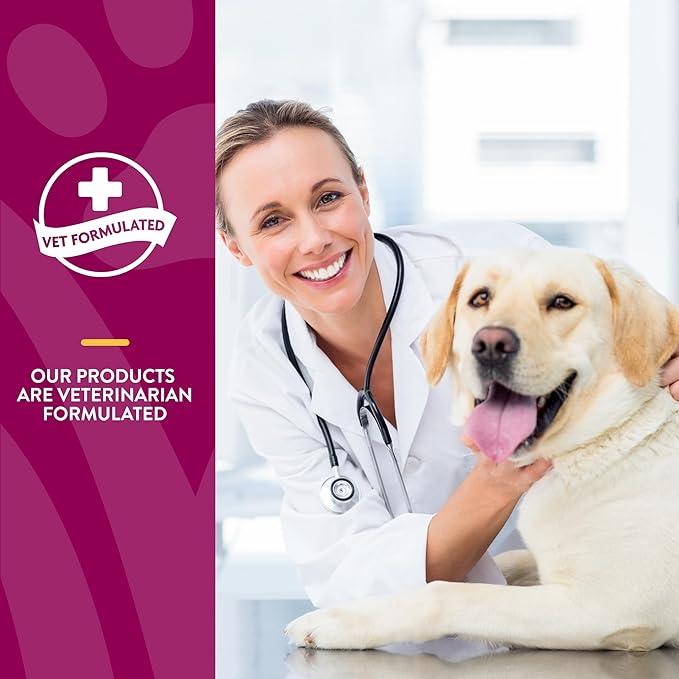NaturVet Arthrisoothe Glucosamine for Dogs – Dog Supplement with Glucosamine, MSM, Chondroitin & Hyaluronic Acid – ArthriGold Level 3 – 240 Soft Chews NaturVet