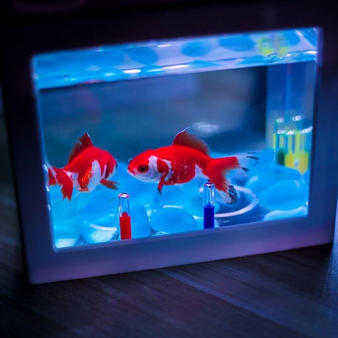 Flylin 4PCs 5V USB Aquarium Light, Smal Decoration LED Lighting Lamp, Aquarium Water Plant Light for Desktop Fish Tank Indoor Water Garden (White) Flylin