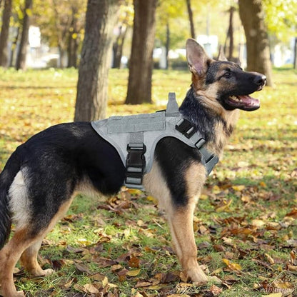 rabbitgoo Tactical Dog Harness for Large, Heavy Duty Pet Harness with Handle, No-Pull Service Vest Large Breed, Adjustable Military Dog Vest for Training Hunting Walking, Grey, XL rabbitgoo