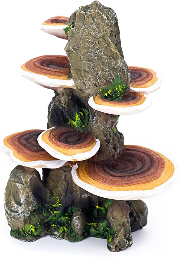 Penn-Plax Deco-Replicas Tree Trunk with Shelf Mushrooms Aquarium Decoration – Safe for Freshwater and Saltwater Fish Tanks – Medium Penn-Plax