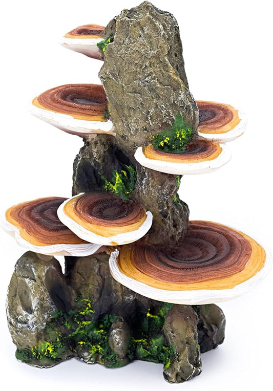 Penn-Plax Deco-Replicas Tree Trunk with Shelf Mushrooms Aquarium Decoration – Safe for Freshwater and Saltwater Fish Tanks – Medium Penn-Plax