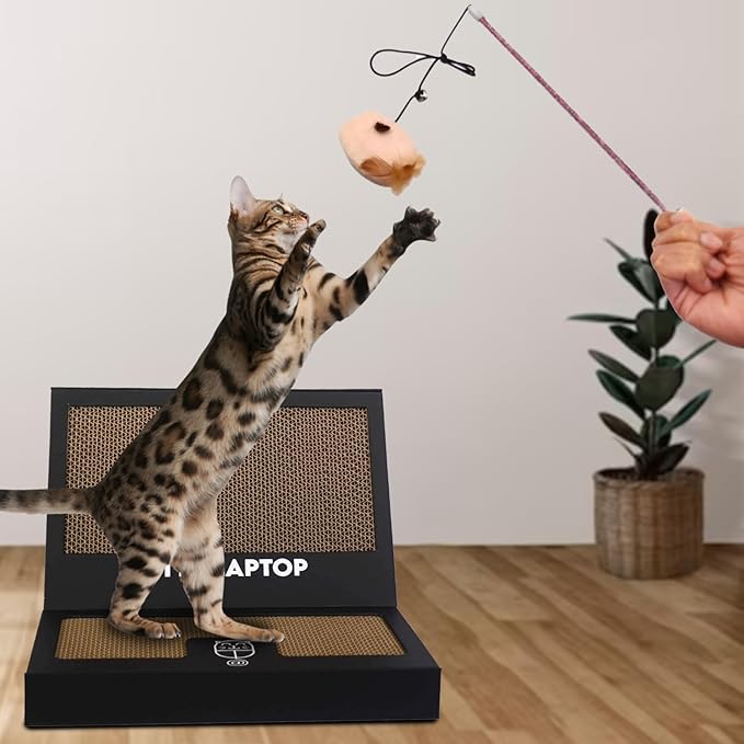 Toy Cat Laptop with 2 Scratchboards + Catnip Mouse Toy for Cats + 50pack Cat Sticker - Interactive Eco-Friendly Cat Computer with Scratch Pad Laptop for Cats - Mini Cat Laptop - PAWPICO