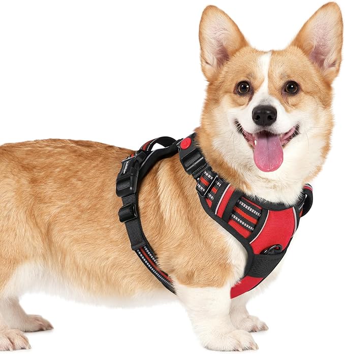 rabbitgoo Dog Harness Small Sized, No Pull Pet Harness with 3 Buckles, Adjustable Soft Padded Pooch Vest with Instant Control Handle, Easy Walking Reflective Pet Vest for Small Dogs, Red, S rabbitgoo
