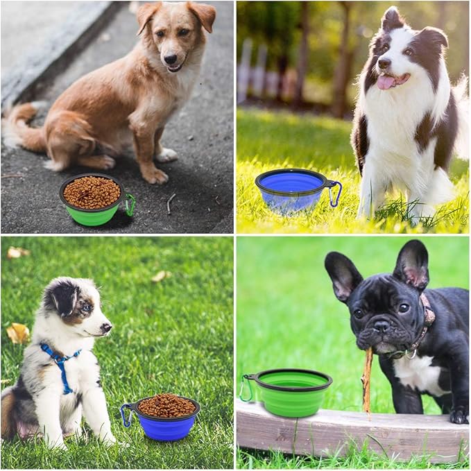 Dog Bowl Pet Collapsible Bowls, 2 Pack for Cats Dogs, Portable Pet Feeding Watering Dish for Walking Parking Traveling with 2 Carabiners (Small, Blue+Green) - PAWPICO