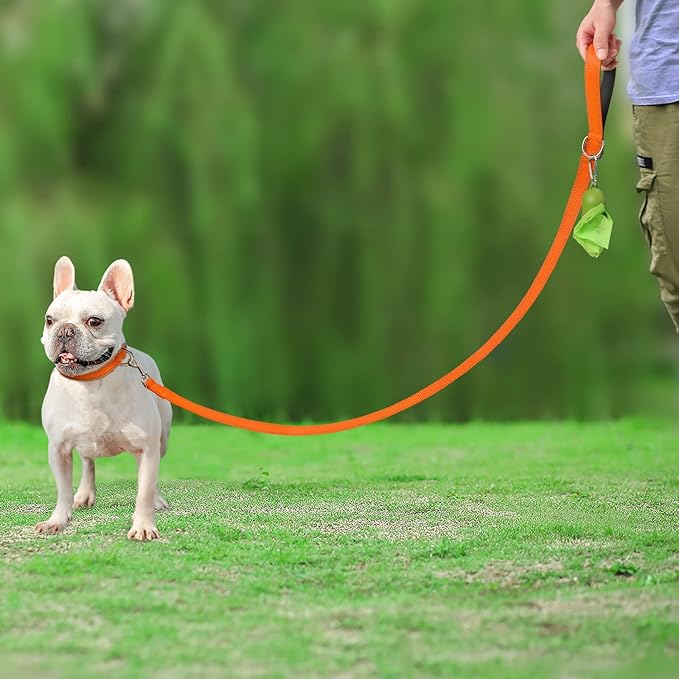 Joytale Double-Sided Reflective Dog Leash, 6 FT/5 FT/4 FT, Padded Handle Nylon Heavy Duty Leashes for Small & Medium Dogs Walking, Orange, 4FT Joytale