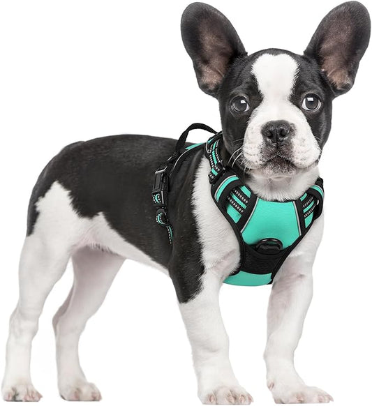 rabbitgoo Dog Harness No Pull with 2 Leash Clips, Adjustable Soft Padded, Reflective Oxford No Choke Pet Vest with Easy Control Handle for Small Dogs, Turquoise, S rabbitgoo