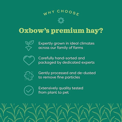Oxbow Animal Health Western Timothy Hay - All Natural Hay for Rabbits, Guinea Pigs, Chinchillas, Hamsters & Gerbils - 40 Oz OxbowAnimalHealth
