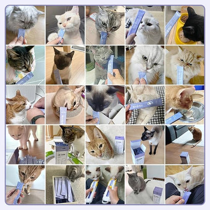 DoctorBy HB Care Hairball Supplement for Cats– Korean Made Hairball Relief Furball Control Remedy & Digestive Support Supplements with Omega-3, Chitosan-30 Individuallly Packaged (1 Pack, 30 Count) DrBY