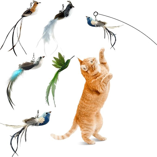 Deluxe Bird Replacement Heads for Cat Toys - Set of 5 - Realistic Feather Designs Including Blue Floral, Two-Tone, Traditional, Black & White, Green Hummingbird - Easy Clip-On - PAWPICO