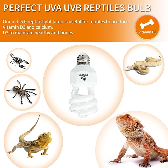 UVA UVB Reptile Light 15W 10.0,Desert Terrarium Compact Fluorescent Lamp,UVB Reptile Light Bulb for Snake,Spider,Bearded Dragon REPTIHOME