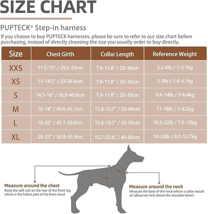 PUPTECK Adjustable Dog Harness Collar and Leash Set Step in No Pull Pet Harness for Small Medium Dogs Puppy and Cats Outdoor Walking Running, Soft Mesh Padded Reflective Vest Harnesses, Solid Grey L PUPTECK