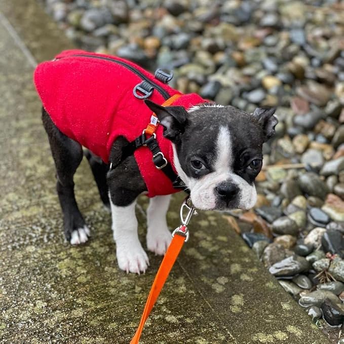 Gooby Zip Up Fleece Dog Sweater - Red, Small - Warm Pullover Fleece Step-in Dog Jacket with Dual D Ring Leash - Winter Small Dog Sweater - Dog Clothes for Small Dogs Boy and Medium Dogs - PAWPICO
