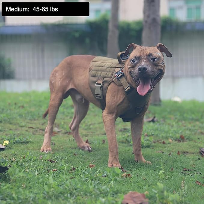 ICEFANG Tactical Dog Harness,Medium Size, 2X Metal Buckle,Working Dog MOLLE Vest with Handle,No Pulling Front Leash Clip,Hook and Loop Panel - PAWPICO