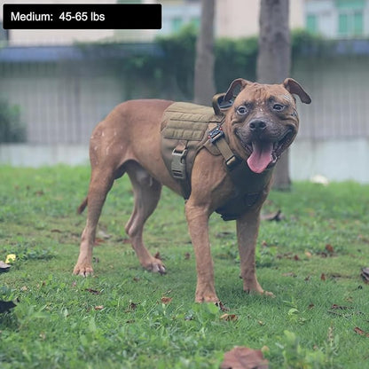 ICEFANG Tactical Dog Harness,Medium Size, 2X Metal Buckle,Working Dog MOLLE Vest with Handle,No Pulling Front Leash Clip,Hook and Loop Panel - PAWPICO