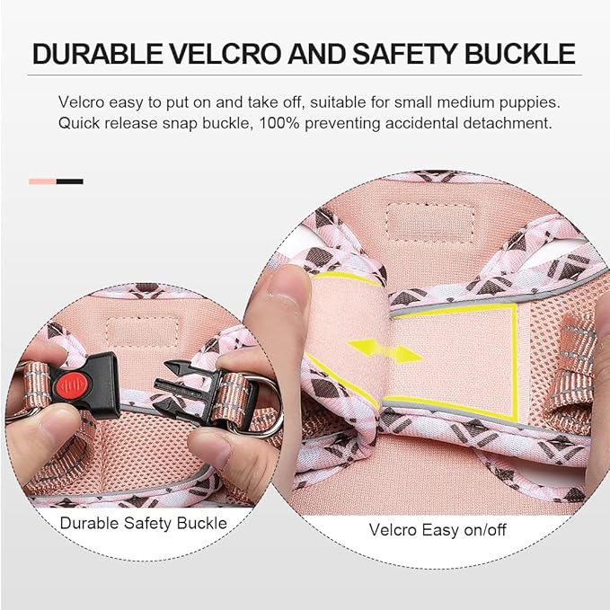 Mercano Soft Mesh Dog Harness and Leash Set, No-Chock Step-in Reflective Breathable Lightweight Easy Walk Escape Proof Vest Harnesses with Safety Buckle for Small Medium Dogs, Cats (Champagne, M) PAWPICO