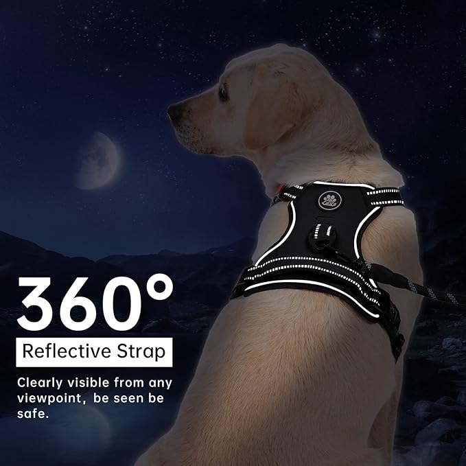 IVY&LANE No Pull Dog Harness for Large Dogs, Dog Vest Harness with Leash, Safety Belt and Storage Strap, Fully Adjustable Harness, 360° Reflective Strip, Soft Handle (Black, L) IVYLANE