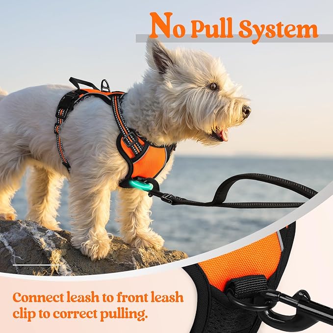 rabbitgoo Dog Harness No Pull with 2 Leash Clips, Adjustable Soft Padded, Reflective Oxford No Choke Pet Vest with Easy Control Handle for Puppy, Orange,XS rabbitgoo