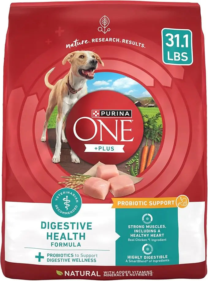 Purina One Plus Digestive Health Formula Dry Dog Food Natural with Added Vitamins, Minerals and Nutrients - 31.1 Lb. Bag - PAWPICO