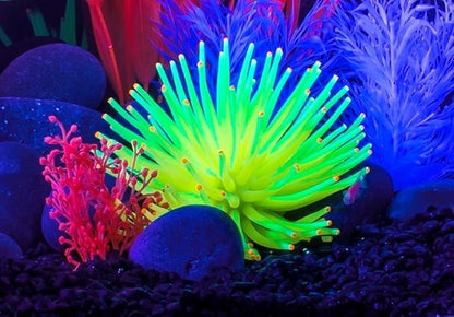 GloFish Anenome Ornaments, Fish Tank Decorations, Aquarium Decorations, Creates a Glowing Effect (Pack of 1) GloFish