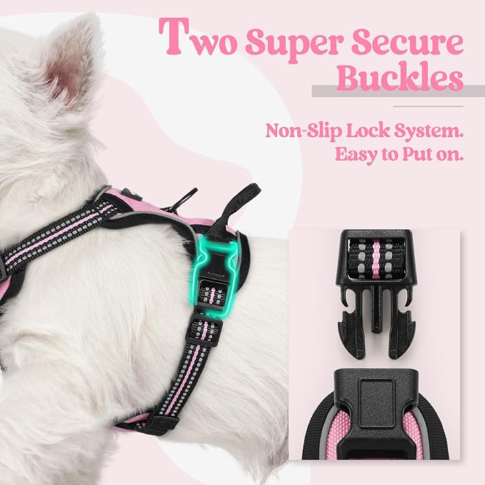 rabbitgoo Dog Harness No Pull with 2 Leash Clips, Adjustable Soft Padded, Reflective Oxford No Choke Pet Vest with Easy Control Handle for Puppy, Pink, XS rabbitgoo