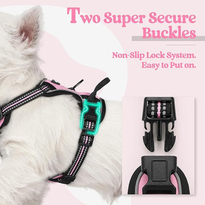 rabbitgoo Dog Harness No Pull with 2 Leash Clips, Adjustable Soft Padded, Reflective Oxford No Choke Pet Vest with Easy Control Handle for Puppy, Pink, XS rabbitgoo