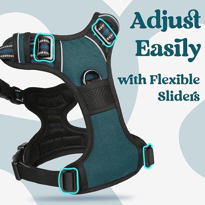 rabbitgoo Dog Harness Medium Sized, No Pull Pet Harness with 3 Buckles, Adjustable Soft Padded Pooch Vest with Instant Control Handle, Easy Walking Reflective Pet Vest for Medium Dogs, Blue Coral, M - PAWPICO