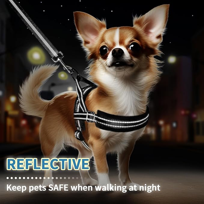 SlowTon No Pull Small Dog Harness and Leash Set, Puppy Soft Vest Harness Neck & Chest Adjustable, Reflective Lightweight Harness & Anti-Twist Pet Lead Combo for Small Medium Dogs (Black, XXS) SlowTon