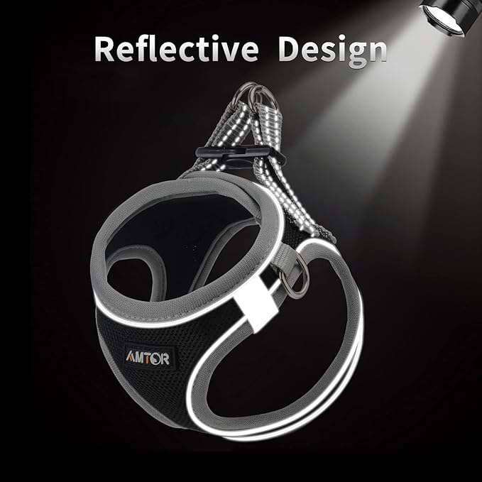 AMTOR Small Dog Harness with Leash Set, No Escape Easy Walk Puppy Harnesses for Training Walking, Step-in Reflective Soft Dogs Vest for XS S Medium Extra-Small Large Sized Dog(Black/Grey) - PAWPICO