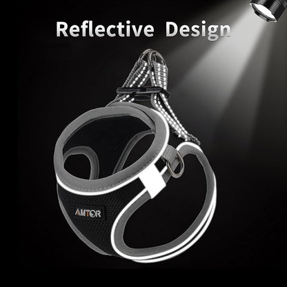 AMTOR Small Dog Harness with Leash Set, No Escape Easy Walk Puppy Harnesses for Training Walking, Step-in Reflective Soft Dogs Vest for XS S Medium Extra-Small Large Sized Dog(Black/Grey) - PAWPICO